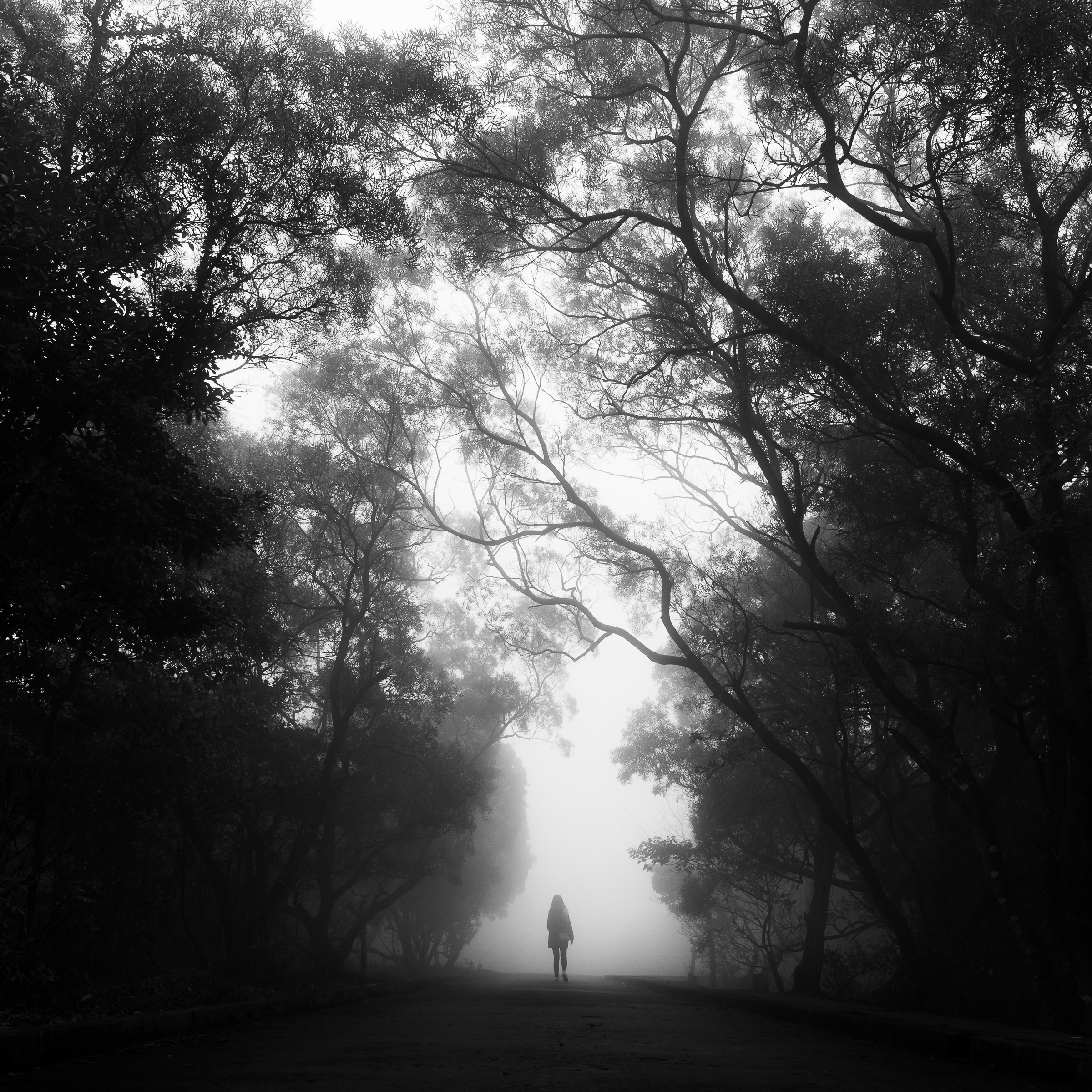 Quiet Places — Monochrome photograph 9 of 10