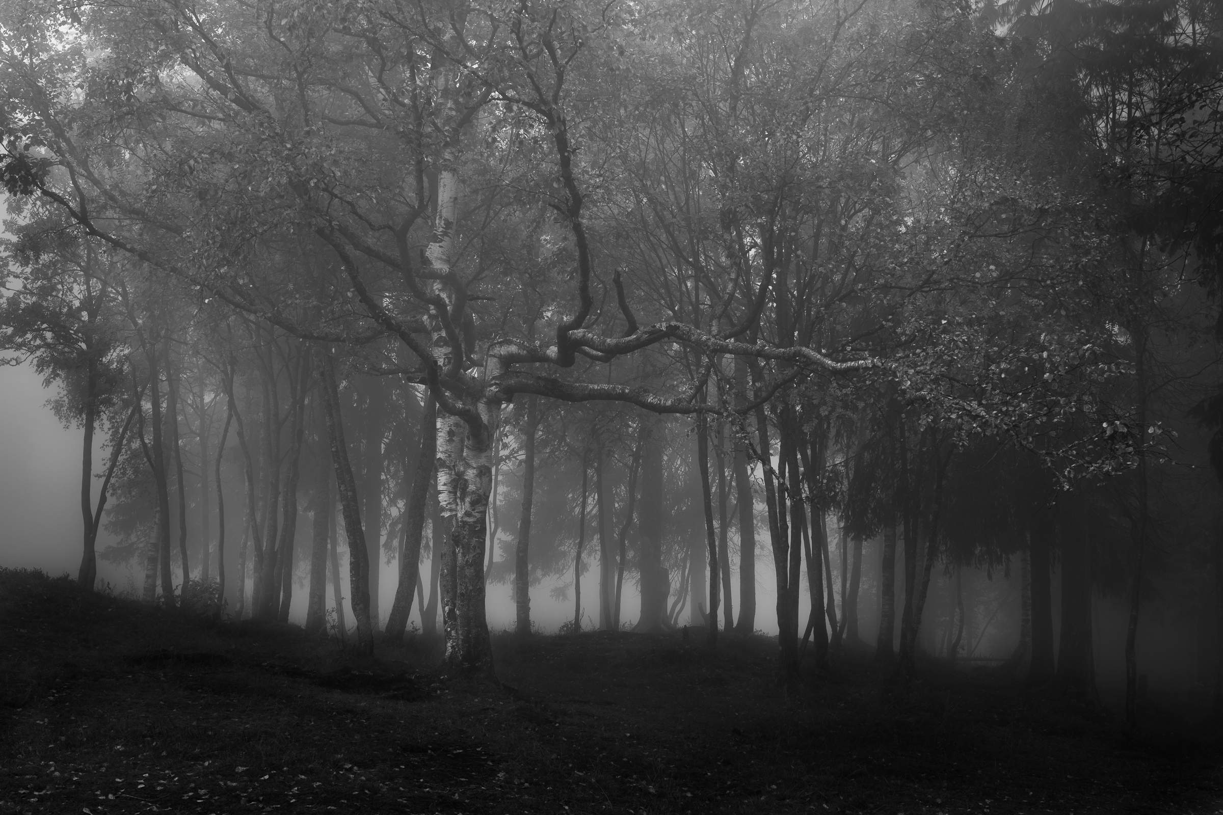 Quiet Places — Monochrome photograph 6 of 10