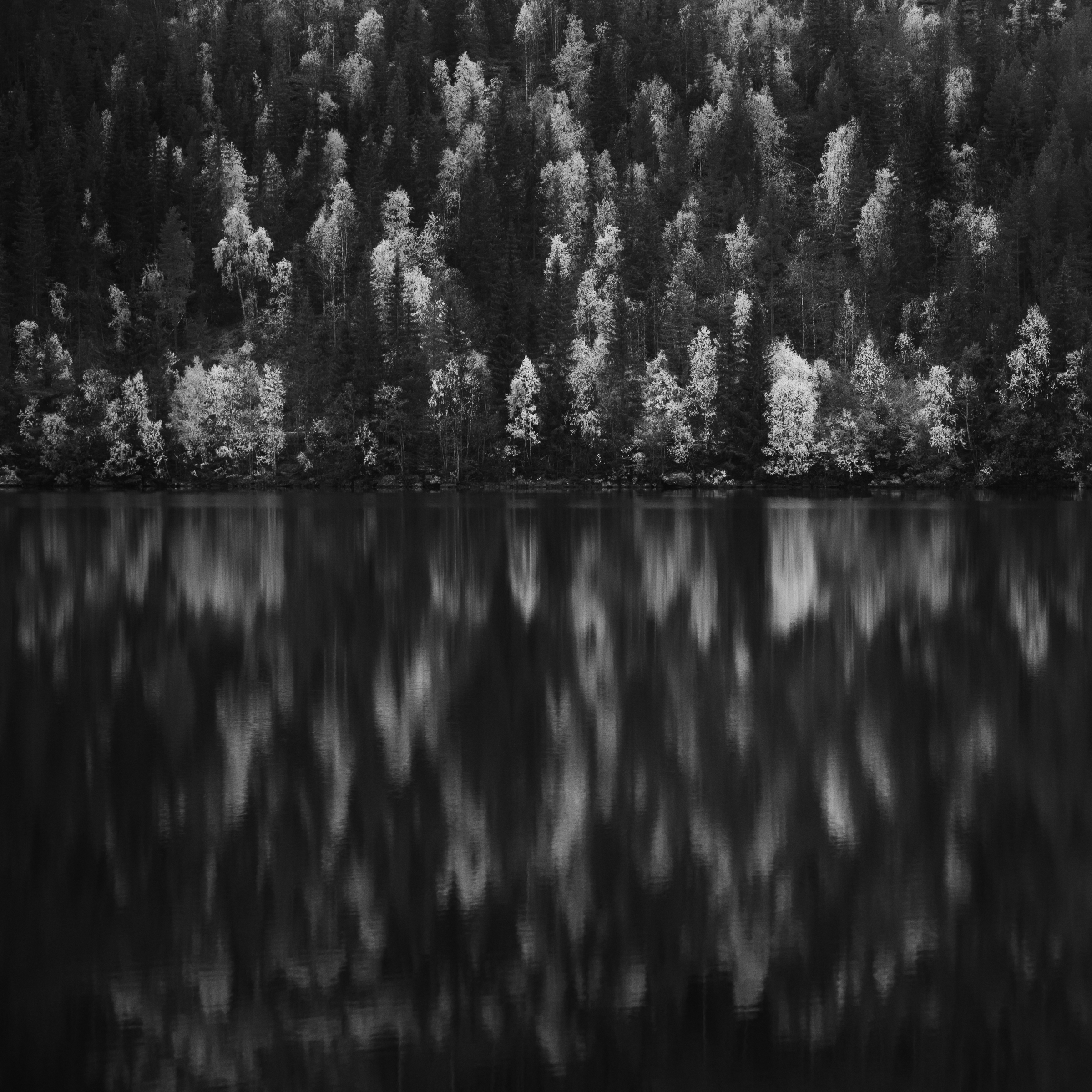 Quiet Places — Monochrome photograph 4 of 10